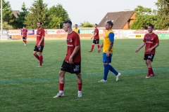 div-3517-Kopie div-3517-Kopie