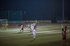 fussball-7635 (Kopie)