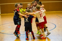 fussball-9303 (Kopie)