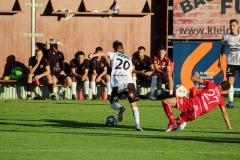 IMG_5375-Gross_klein