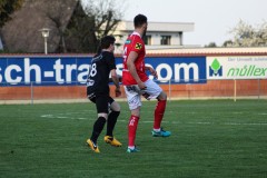 IMG_9854-Gross_klein