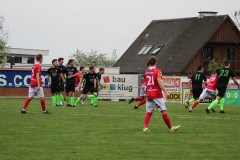 IMG_0345-Gross_klein