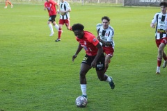 IMG_3146-2