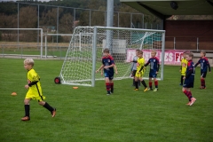 fussball-6258 (Kopie)