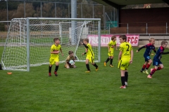 fussball-6291 (Kopie)