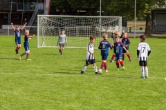 fussball-6339 (Kopie)