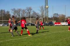 fussball-8465 (Kopie)