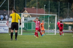 fussball-4329 (Kopie)