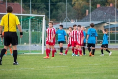 fussball-4332 (Kopie)