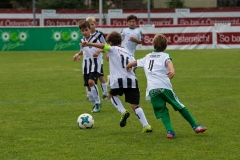 fussball-5096 (Kopie)