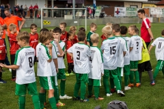 fussball-5219 (Kopie)