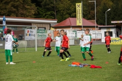 fussball-5256 (Kopie)