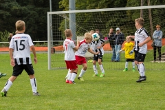 fussball-5261 (Kopie)