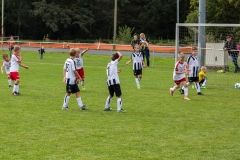 fussball-5267 (Kopie)