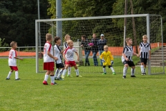 fussball-5278 (Kopie)