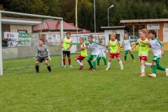 fussball-5330 (Kopie)