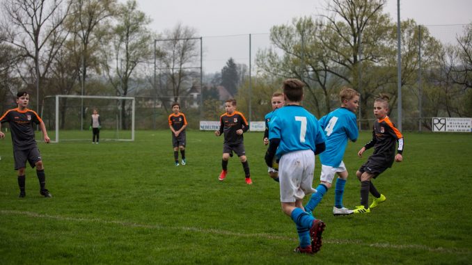 div-1514 (Kopie)